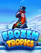 วิธีดาว โหลด slot และเล่นให้ชนะได้ลอง